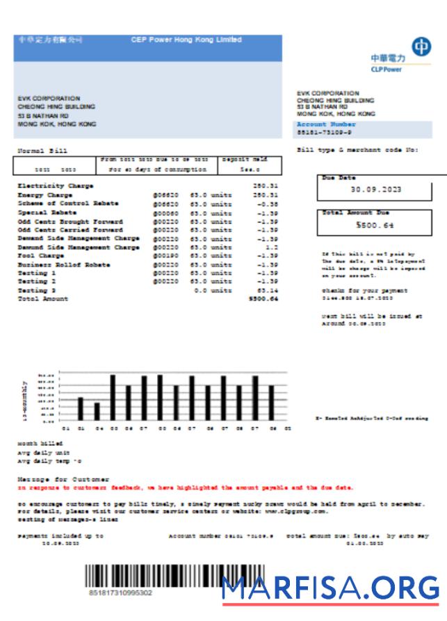 Realistic CLP Power Hong Kong Limited utility business bill, SCR template